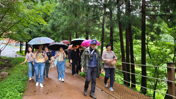 활동지원사들이 숲해설프로그램에 참여하기 위해 숲해설사와 함께 걷고 있는 모습입니다.