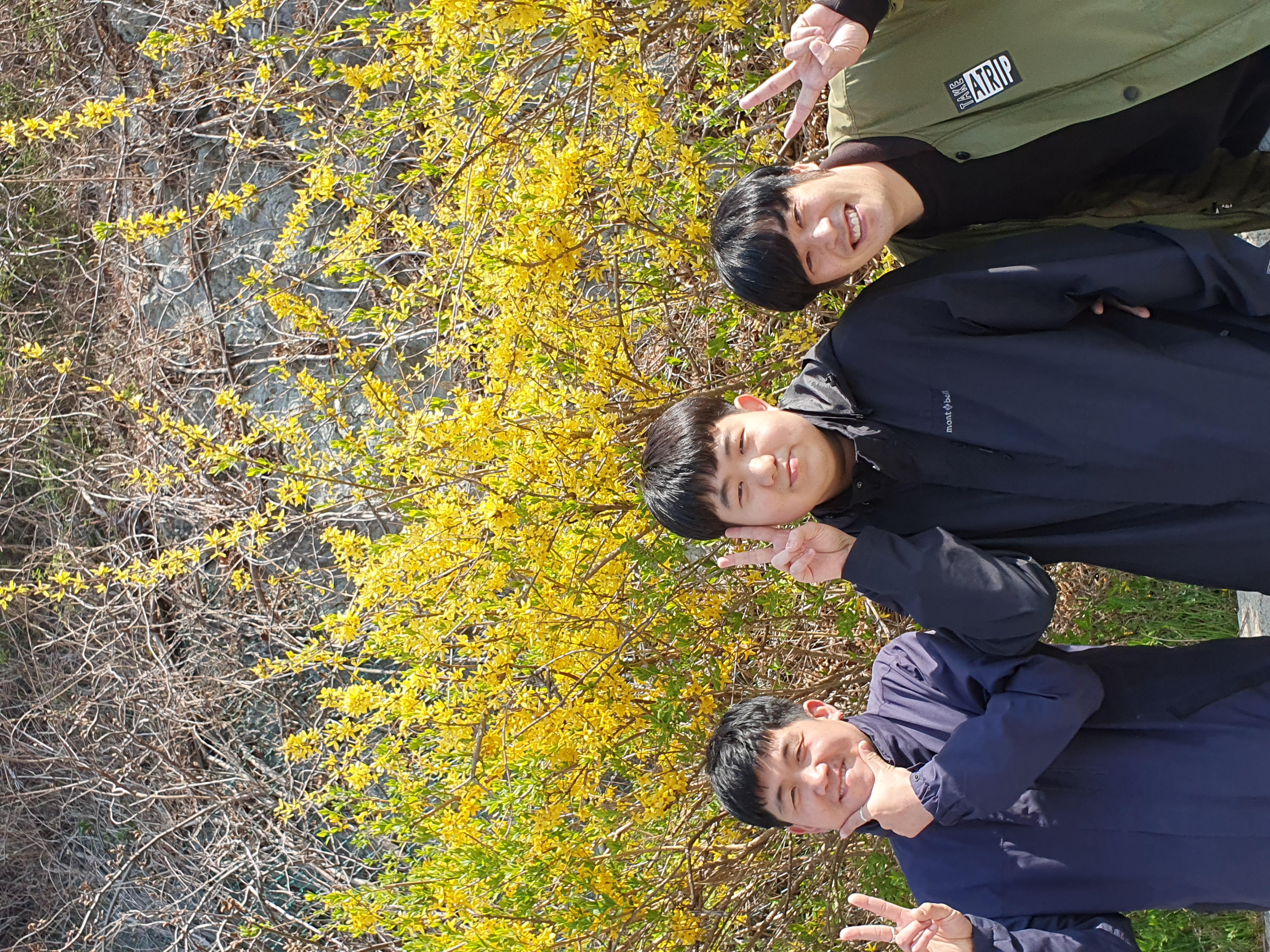 예쁘게 핀 개나리꽃 앞에서 이용인 3명이 함께 찍은 사진입니다. 