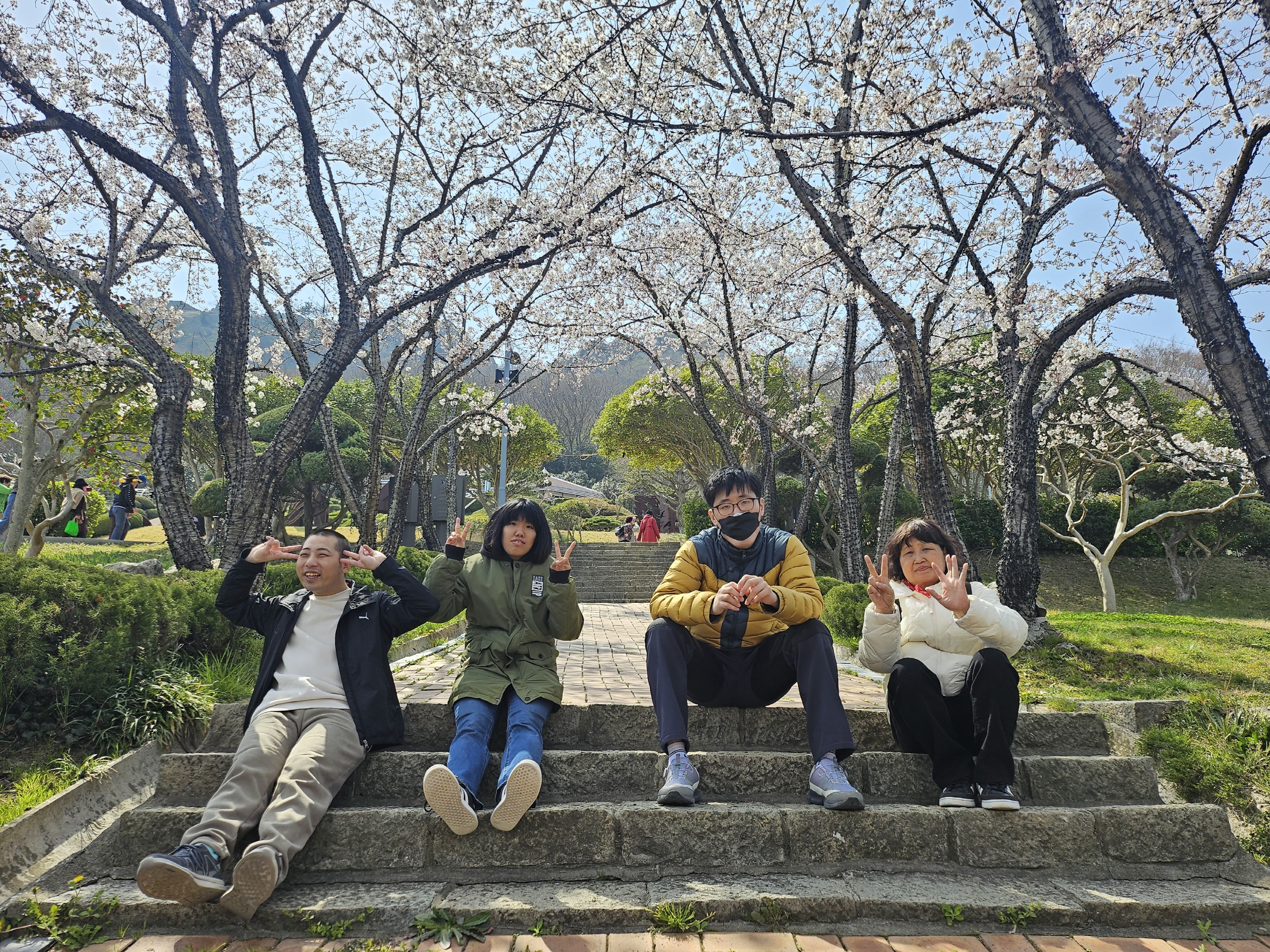 이용인 4명이서 계단에 앉아 벚꽃을 배경으로 함께 찍은 사진입니다. 