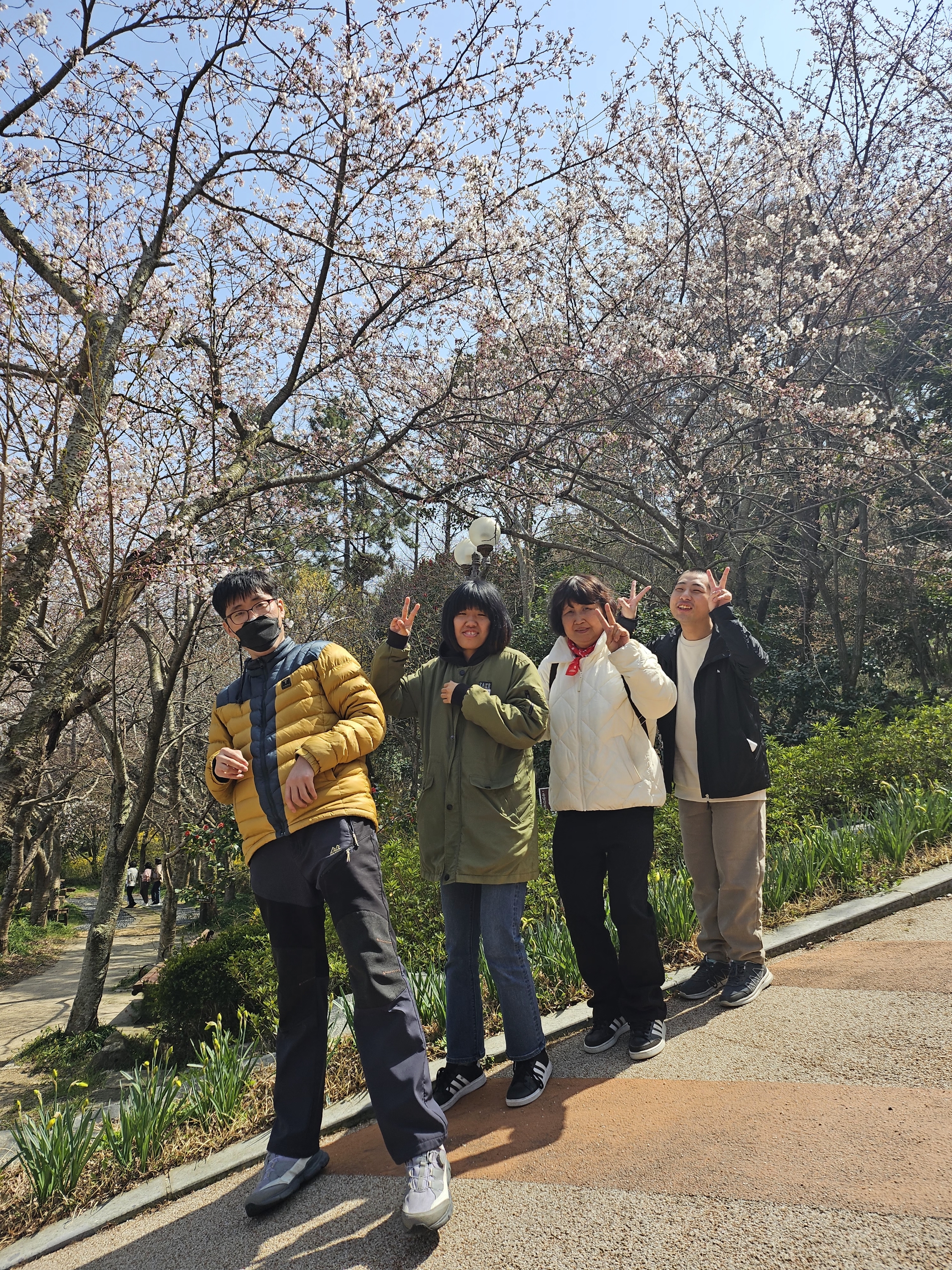 이용인 4명이 벚꽃을 배경으로 함께 찍은 사진입니다. 