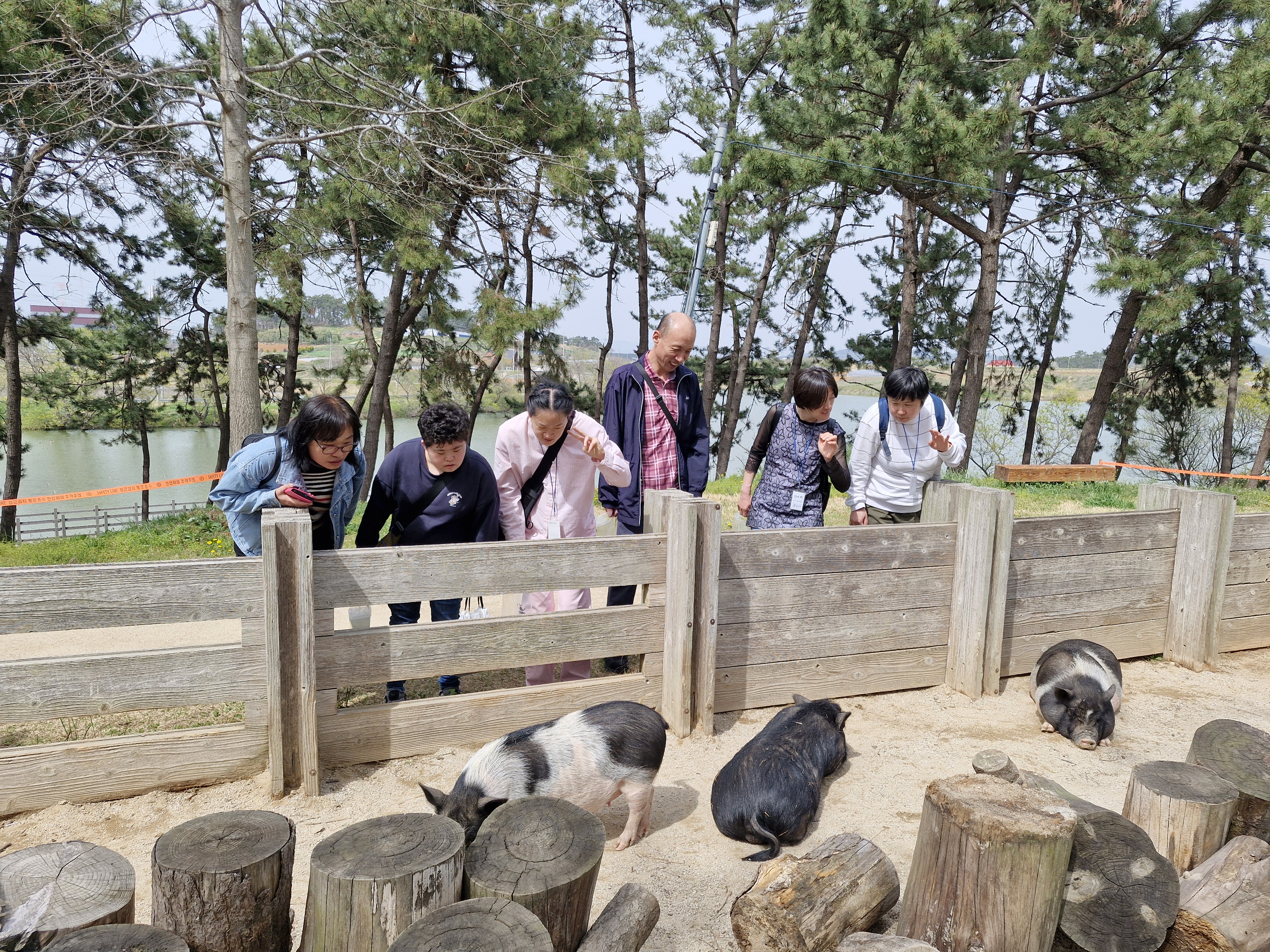 우리에 있는 아기돼지를 보고 있는 이용인들의 사진입니다. 
