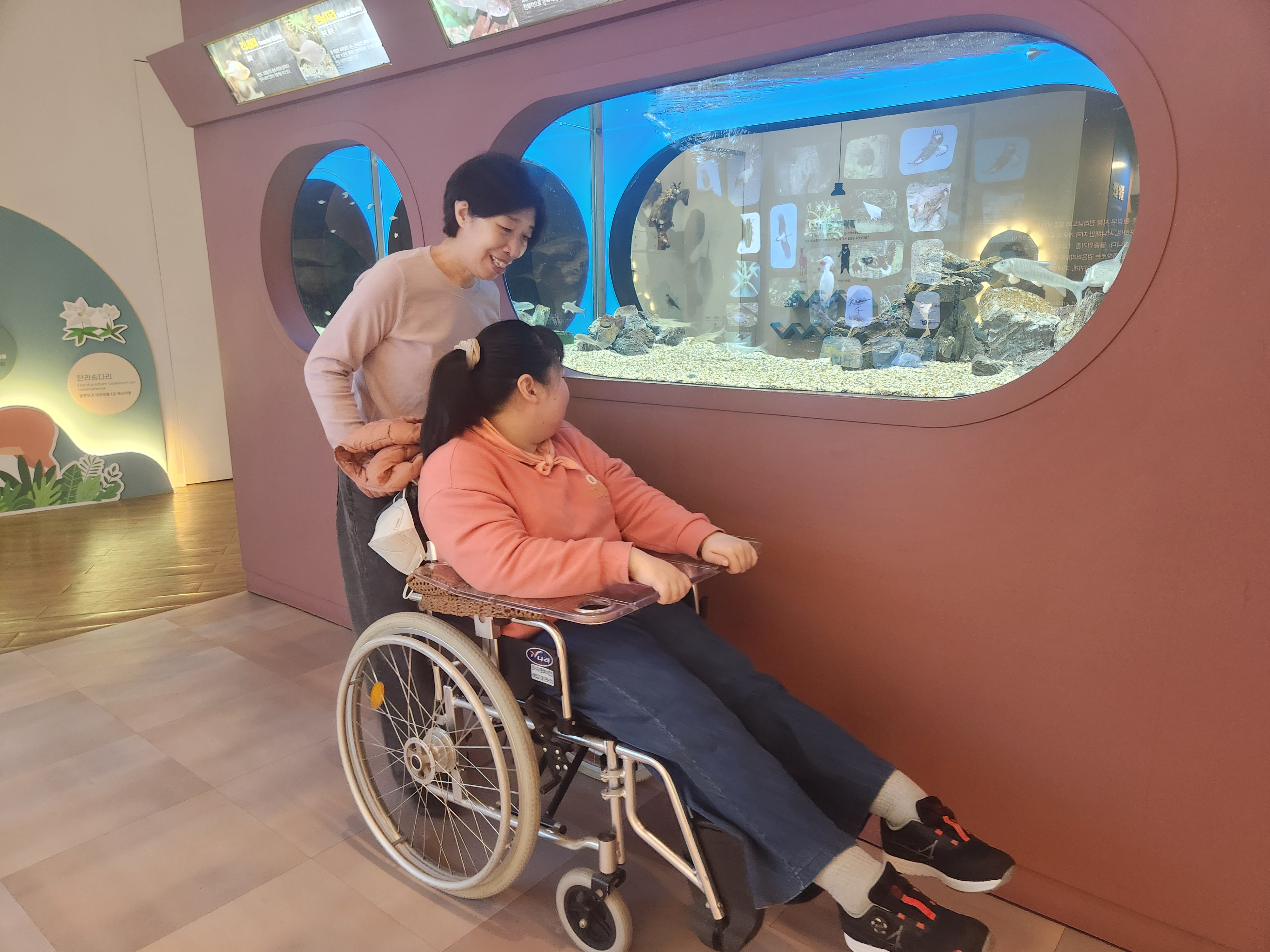 휠체어를 탄 이용인과 휠체어를 밀고 있는 활동지원사가 자연사박물관을 관람하고 있는 사진입니다. 