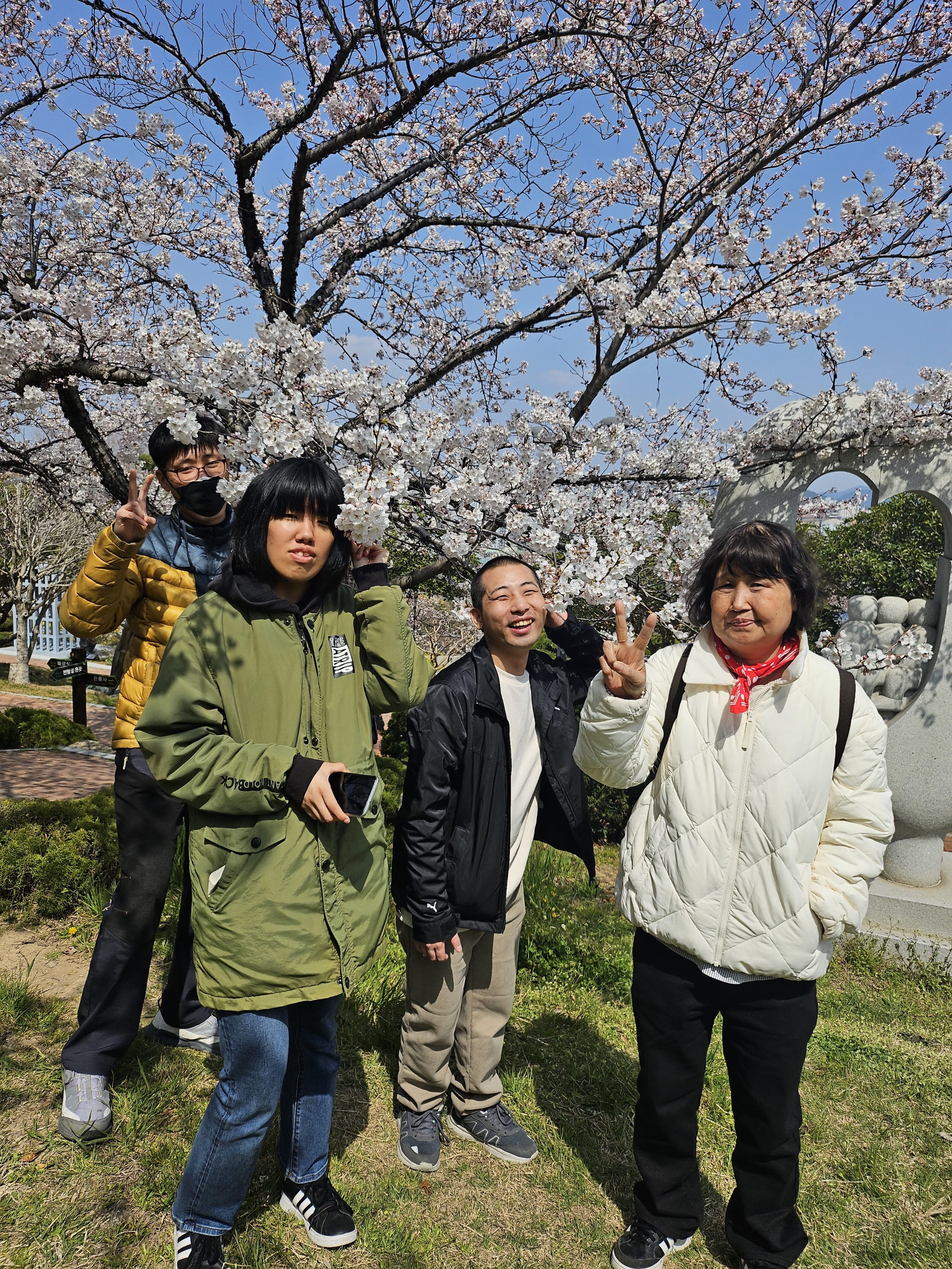 이용인 4명이 벚꽃을 배경으로 밝게 웃으며 함께 찍은 사진입니다. 