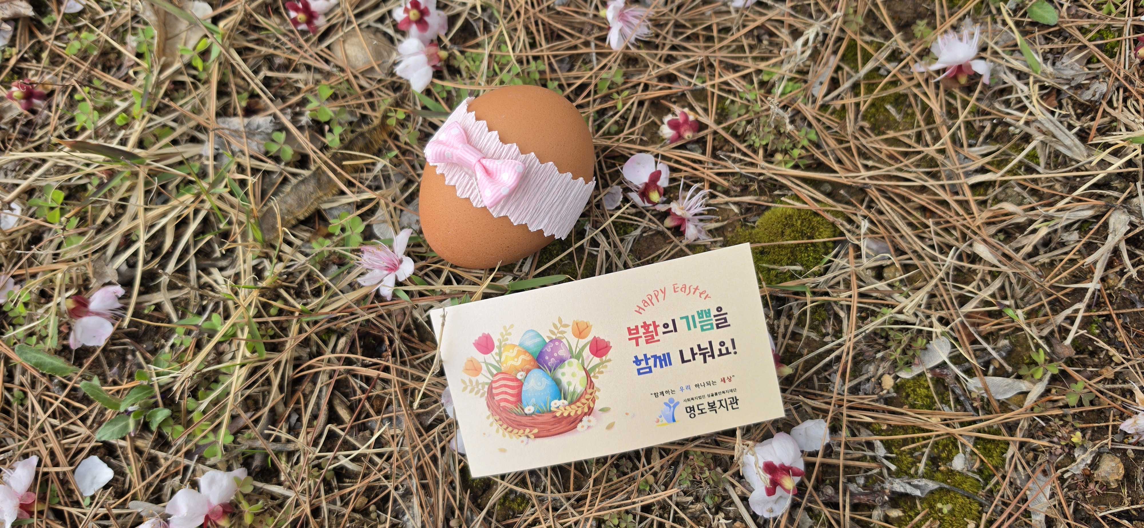 "부활의 기쁨을 함께 나눠요!" 라고 적힌 명함과 계란을 꽃이 있는 배경에서 찍은 사진입니다.