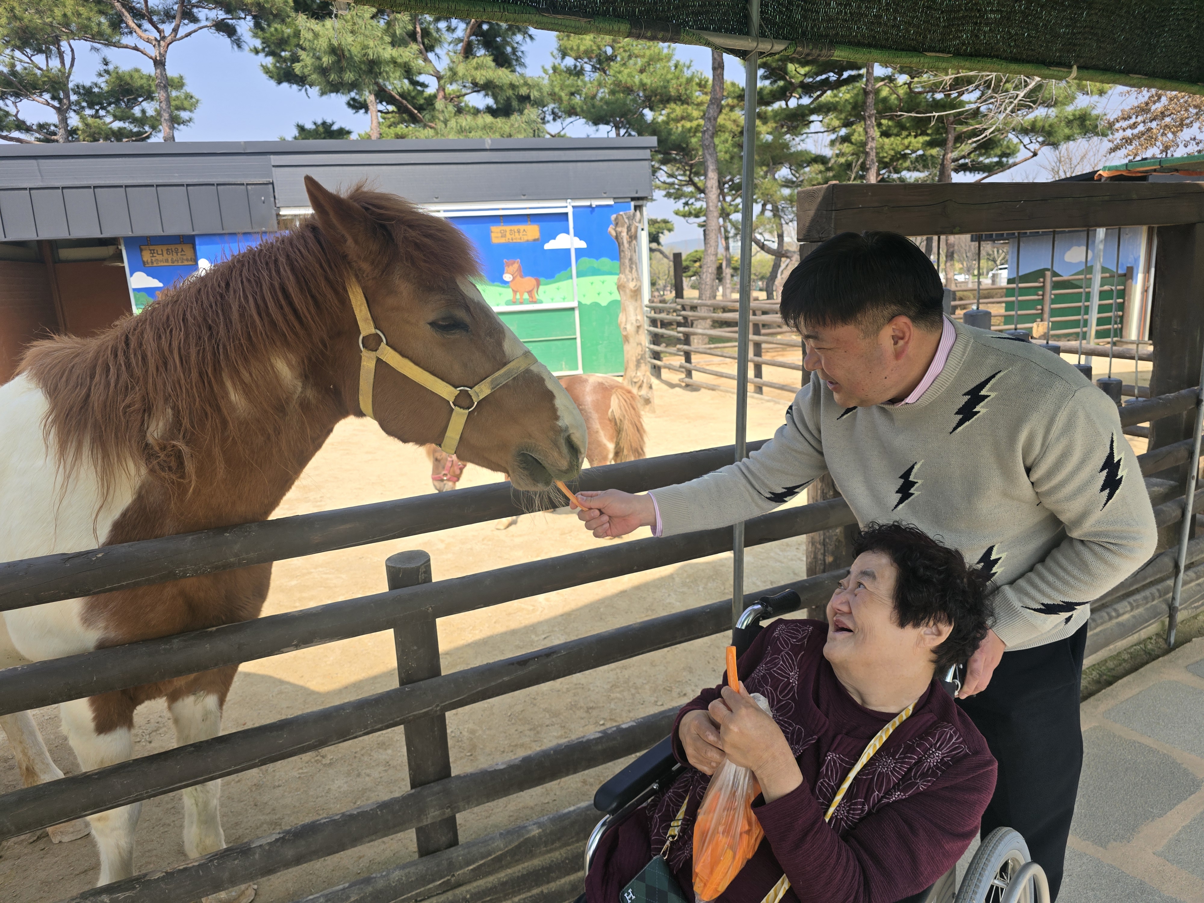 재가장애인과 직원이 함께 동물(말)먹이를 주는 모습입니다.