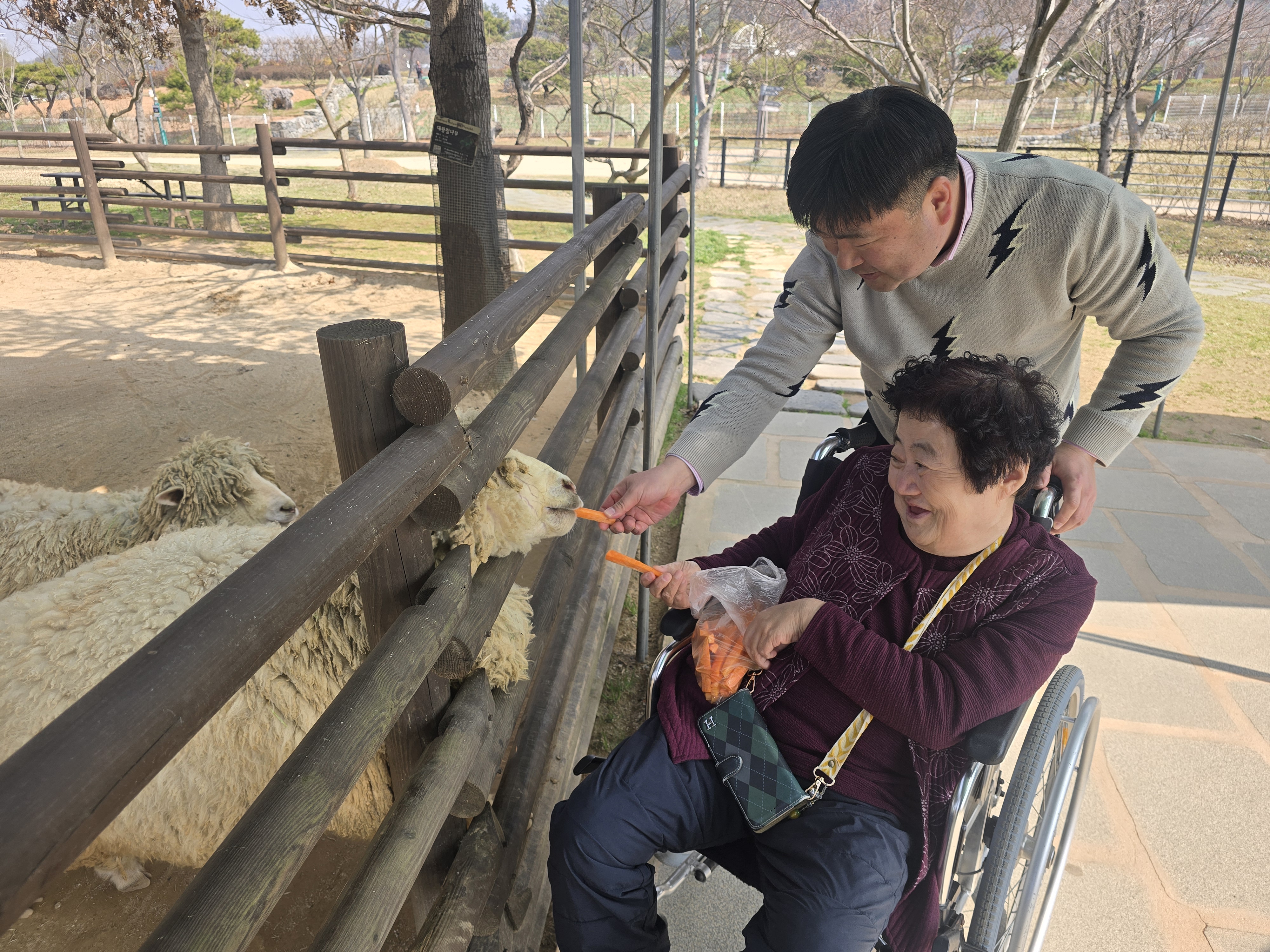 재가장애인과 직원이 함께 동물(양)먹이를 주는 모습입니다.