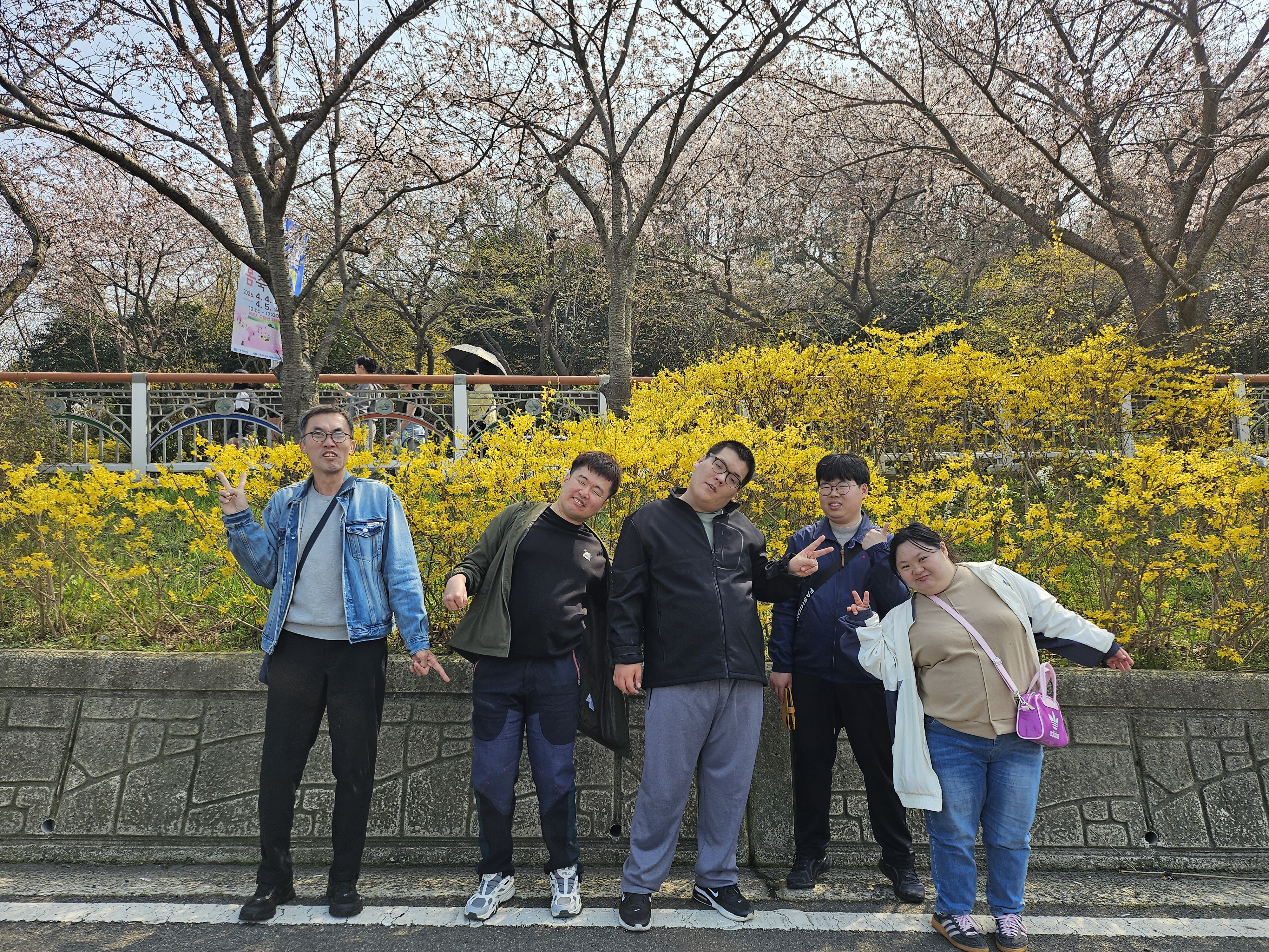 개나리 앞에서 사진을 찍은 모습입니다.